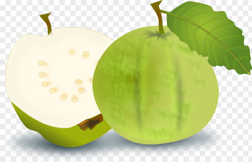 Green Apple Slice Guava Fruit Orange Clip Art PNG