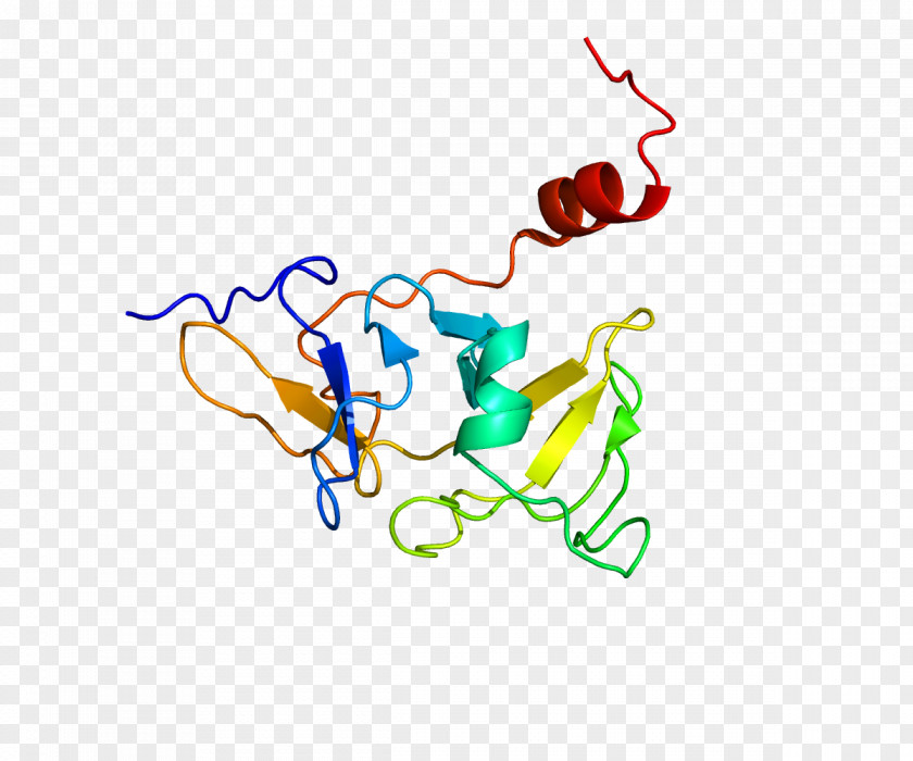 LGP2 RIG-I-like Receptor Helicase Gene PNG