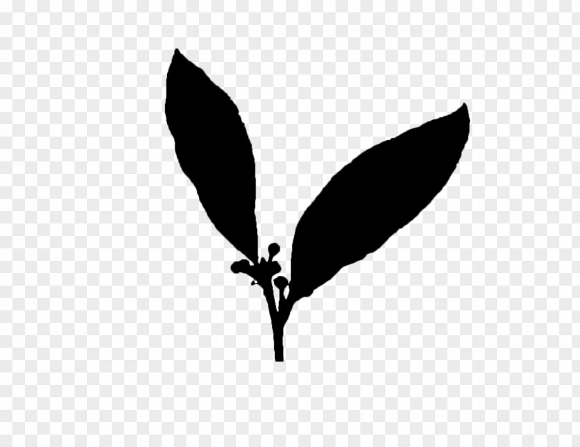 Logo Font Silhouette Desktop Wallpaper Leaf PNG