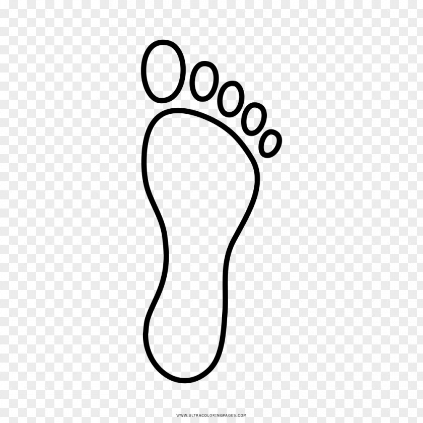 Nose Shoe Clip Art PNG