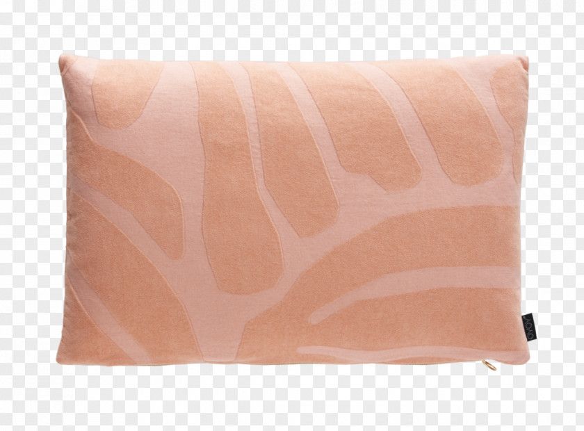 Pillow Design Throw Pillows Cushion Color Tela PNG