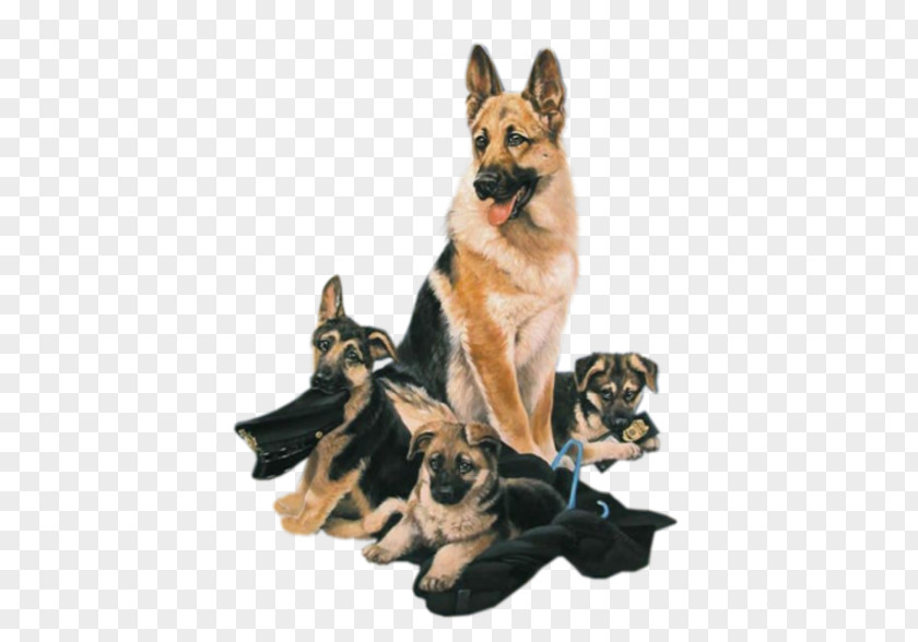 Puppy German Shepherd King Kunming Wolfdog Animal PNG