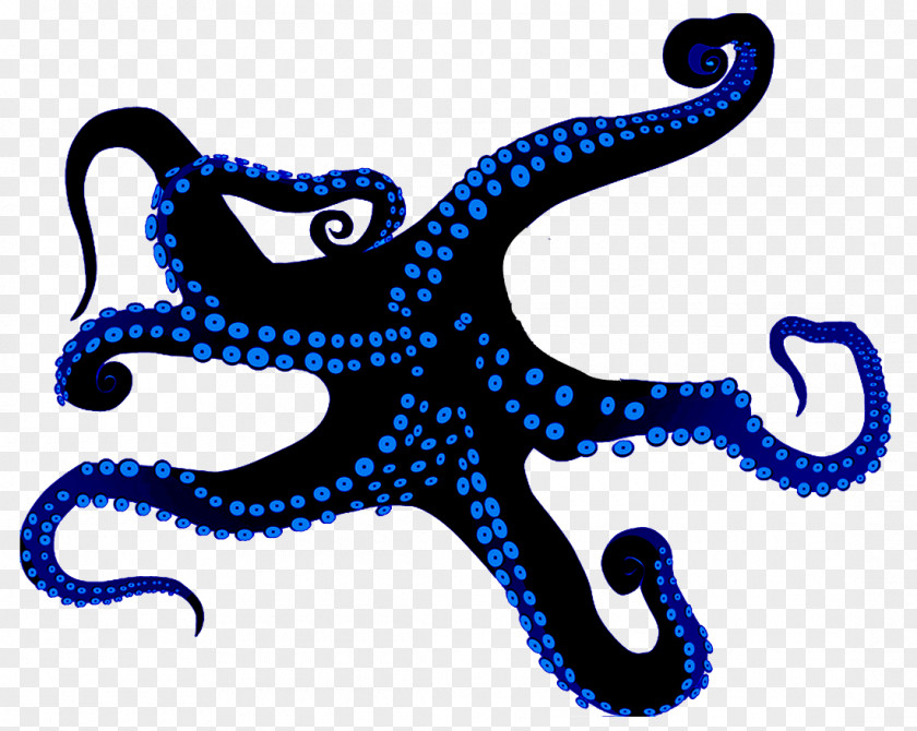 Vector Octopus Clip Art Graphics Euclidean Illustration PNG