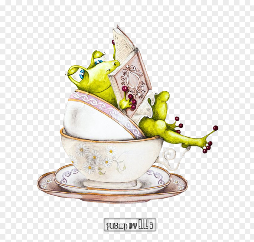 Amphibian Montreal Gaspé Frog Porcelain PNG