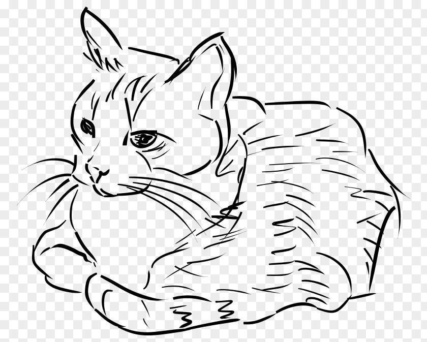 Cat Line Art Drawing Clip PNG