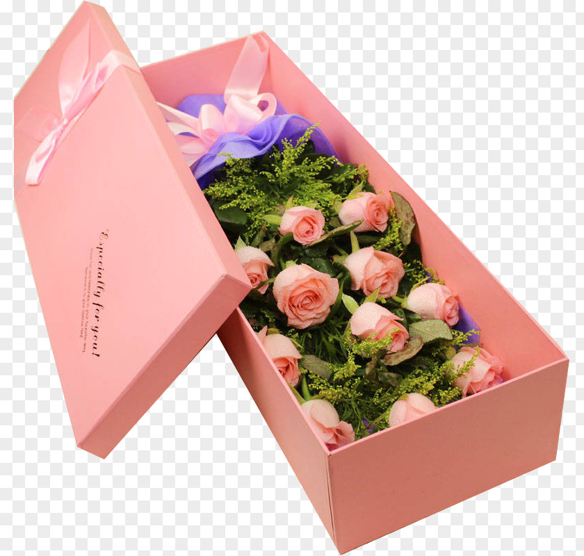 Champagne Roses Gift Garden Beach Rose Pink PNG