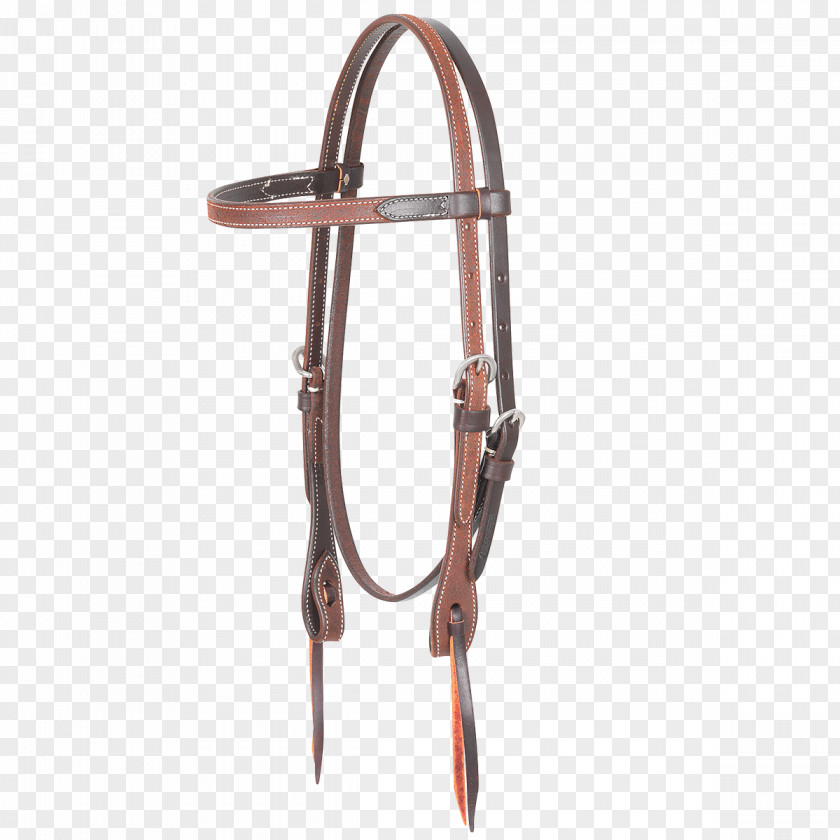 Chestnut Bridle Horse Tack Bit Equestrian PNG