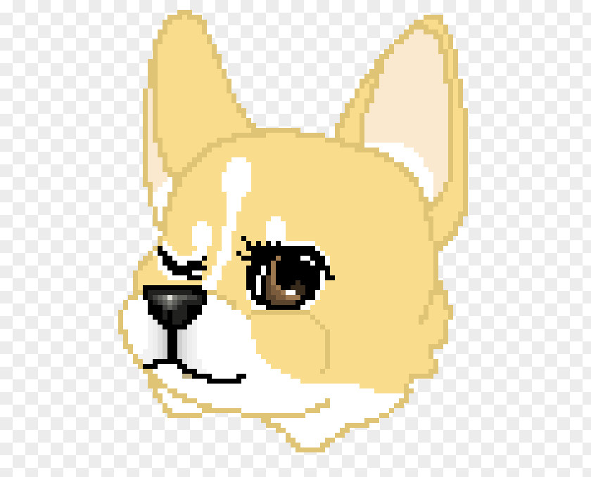 Dog Whiskers Cat Snout PNG