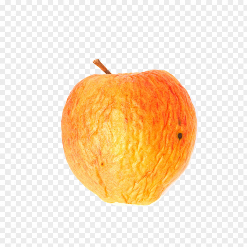Dry Apple Clementine Calabaza Mandarin Orange Tangerine Bitter PNG