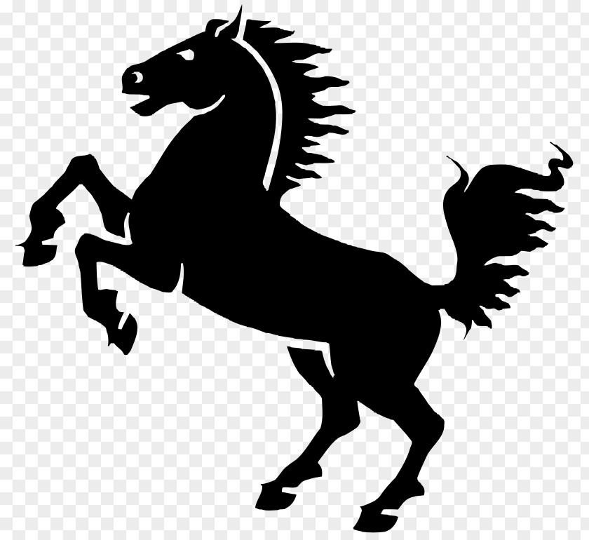 Mustang Mare Wild Horse Clip Art PNG
