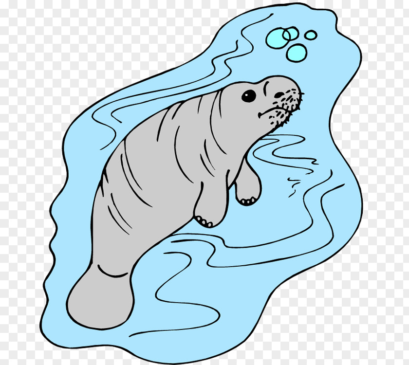 West Indian Manatee African Coloring Book Clip Art PNG