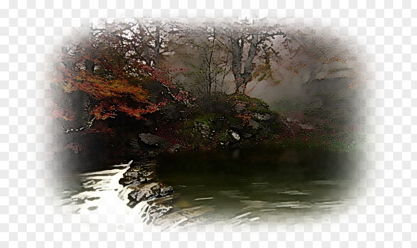 Plant Reflection Nature Atmospheric Phenomenon Natural Landscape Tree Water PNG