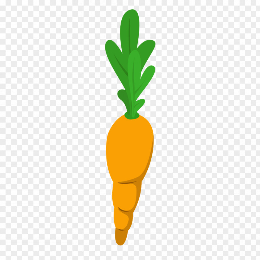 Carrot Creative Vegetable PNG