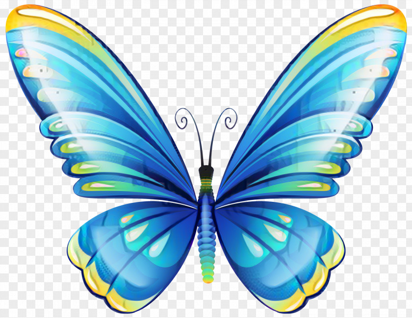 Clip Art Butterfly Image Free Content PNG