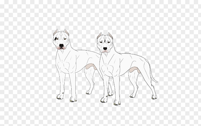 Dogo Argentino Korean Jindo Kishu White Shepherd Dog Breed Line Art PNG