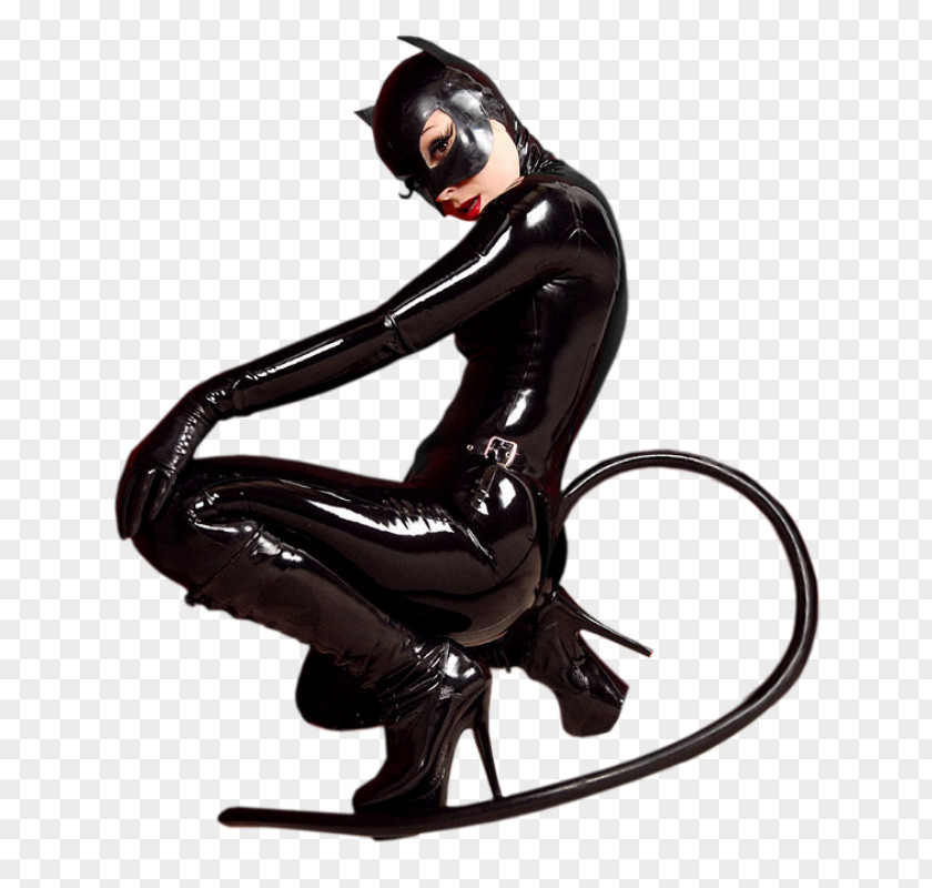 Domina Flyer Catwoman Batman Gotham City Sirens PNG