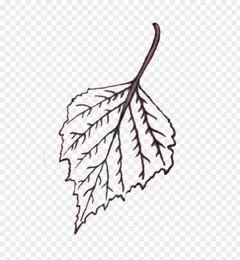 Ead Sticker Leaf Head Hair PNG