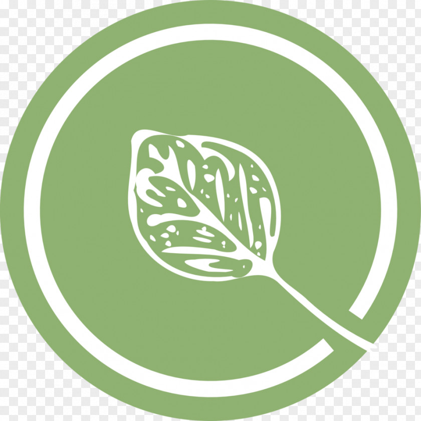 Environmental Clipart Leaf Logo Clip Art PNG