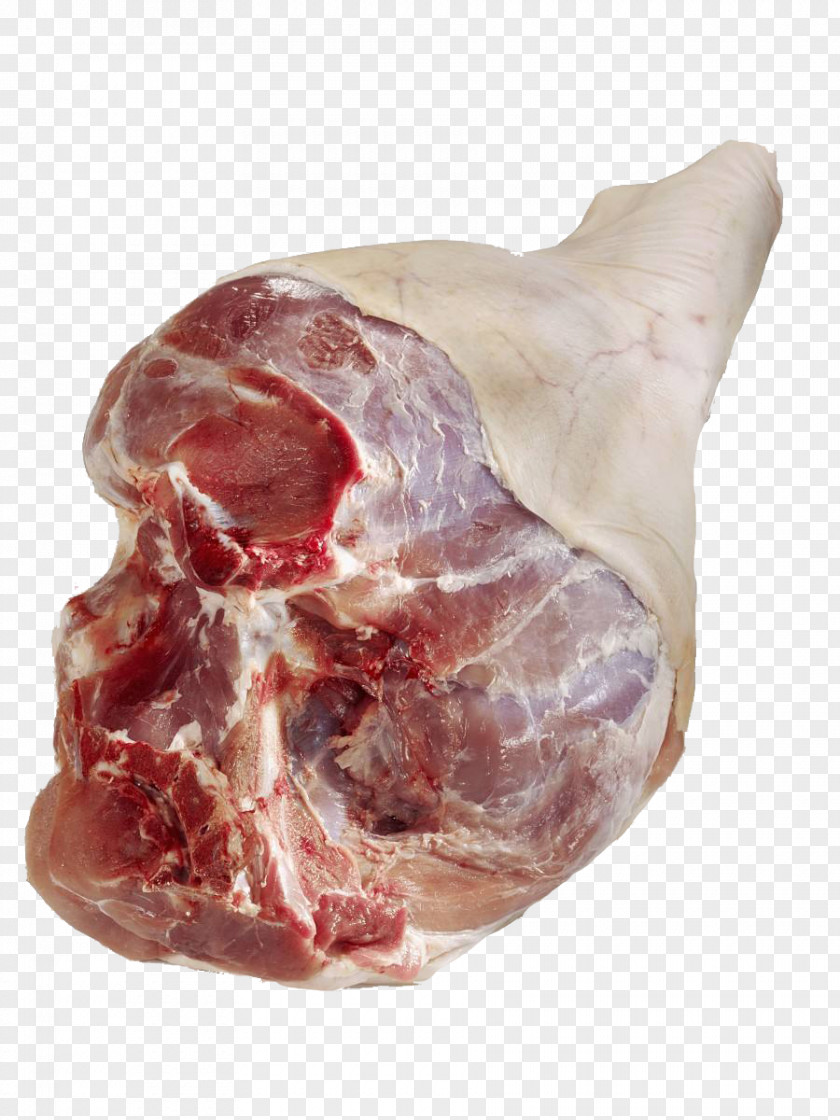 Fresh Pork Meat Domestic Pig Chu1ea3 Lu1ee5a Pigs Trotters PNG