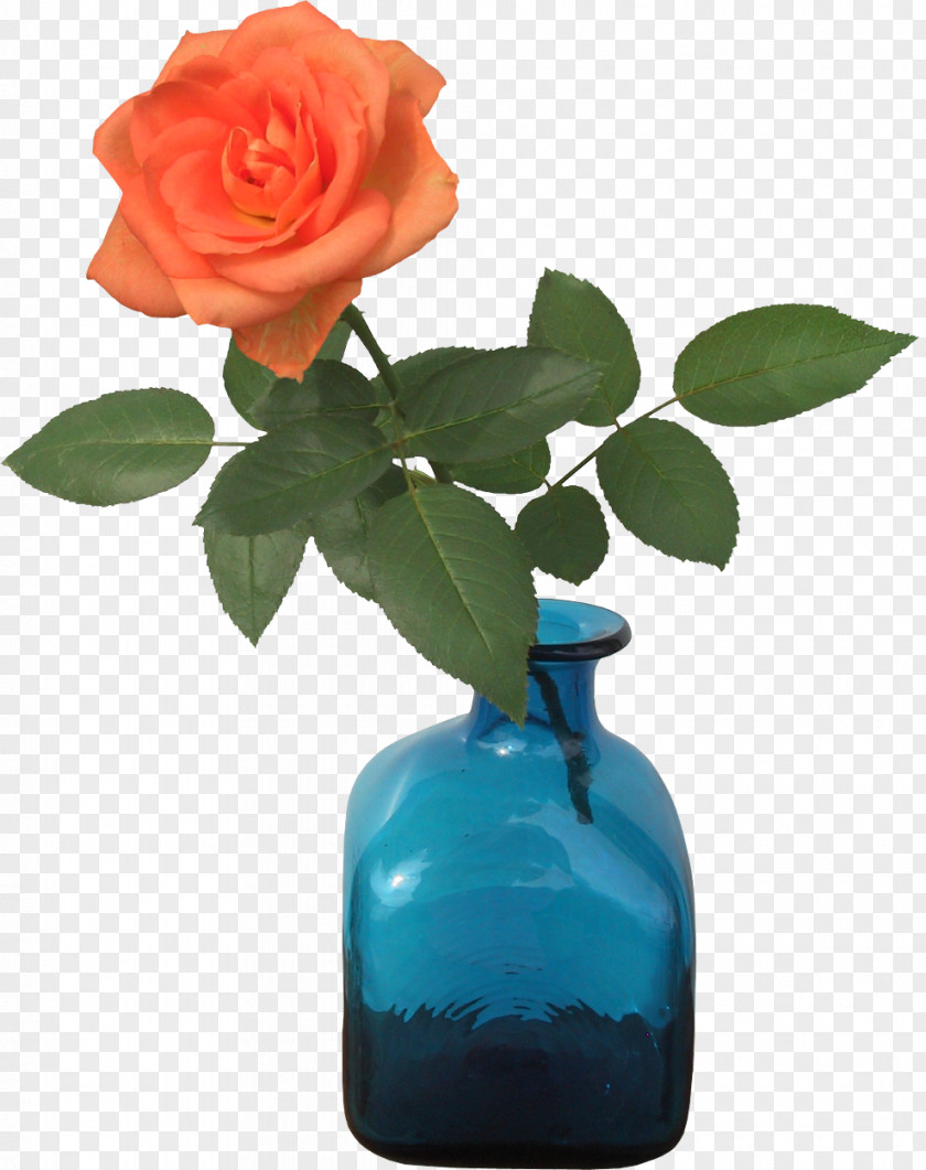 Vase Flower PNG