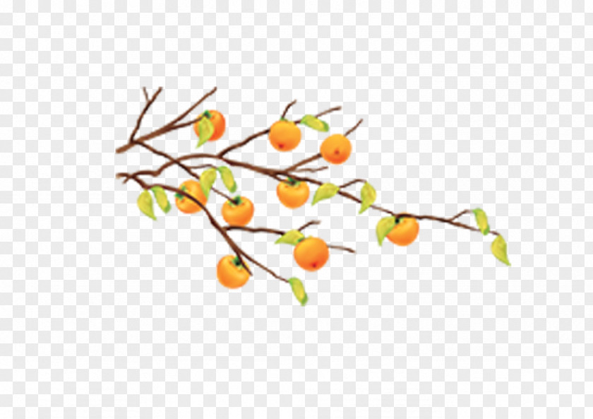 Yellow Autumn Leaves Orange Tree Branch Cartoon Fruit Tangerine PNG