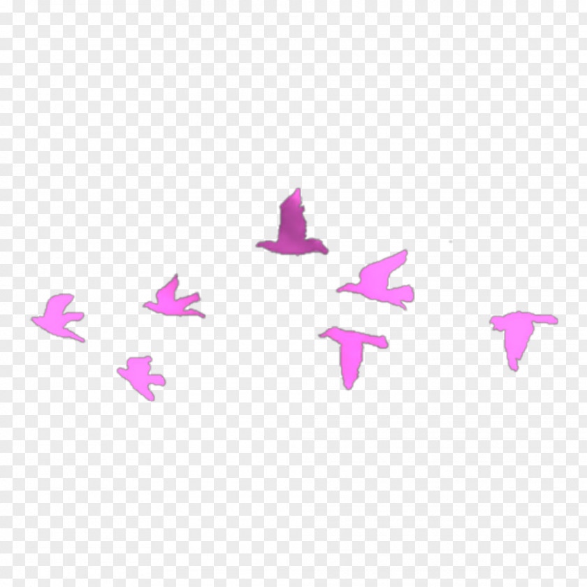 Bird Flight Swallow Flock Tattoo PNG