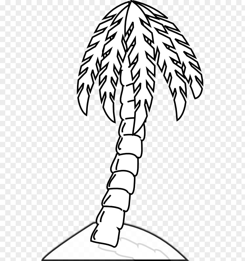 Black And White Tree Images Arecaceae Drawing Clip Art PNG