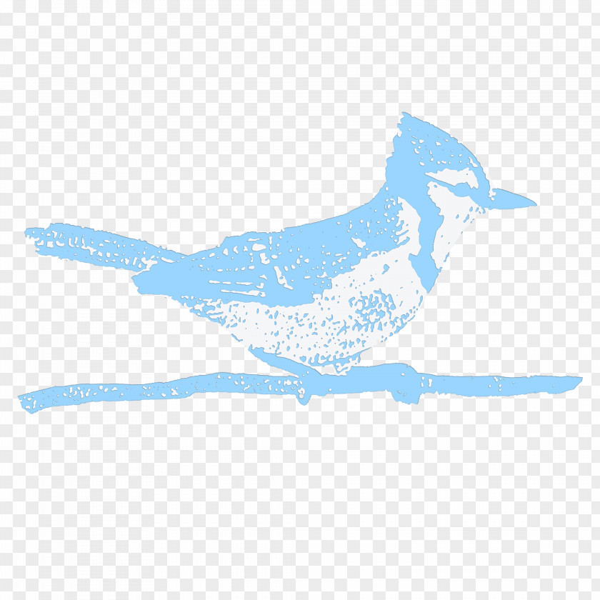 Etsy Beak Blue Jay Zazzle Art PNG