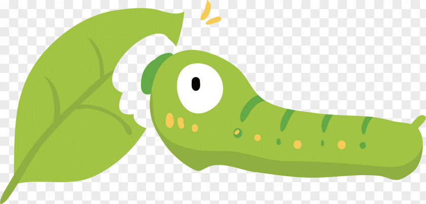 Green Bug Vector Illustration Insect PNG