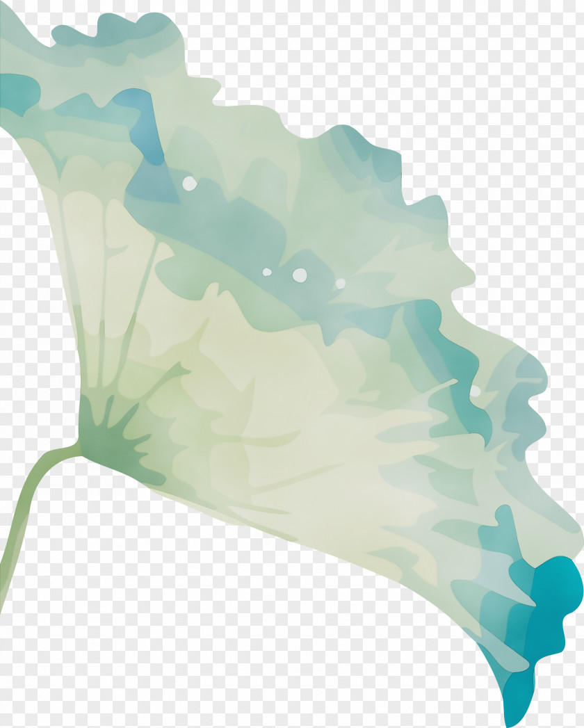 Green Leaf Turquoise PNG