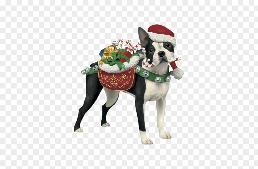 BOSTON TERRIER Dog Breed Boston Terrier Leash Christmas Ornament PNG