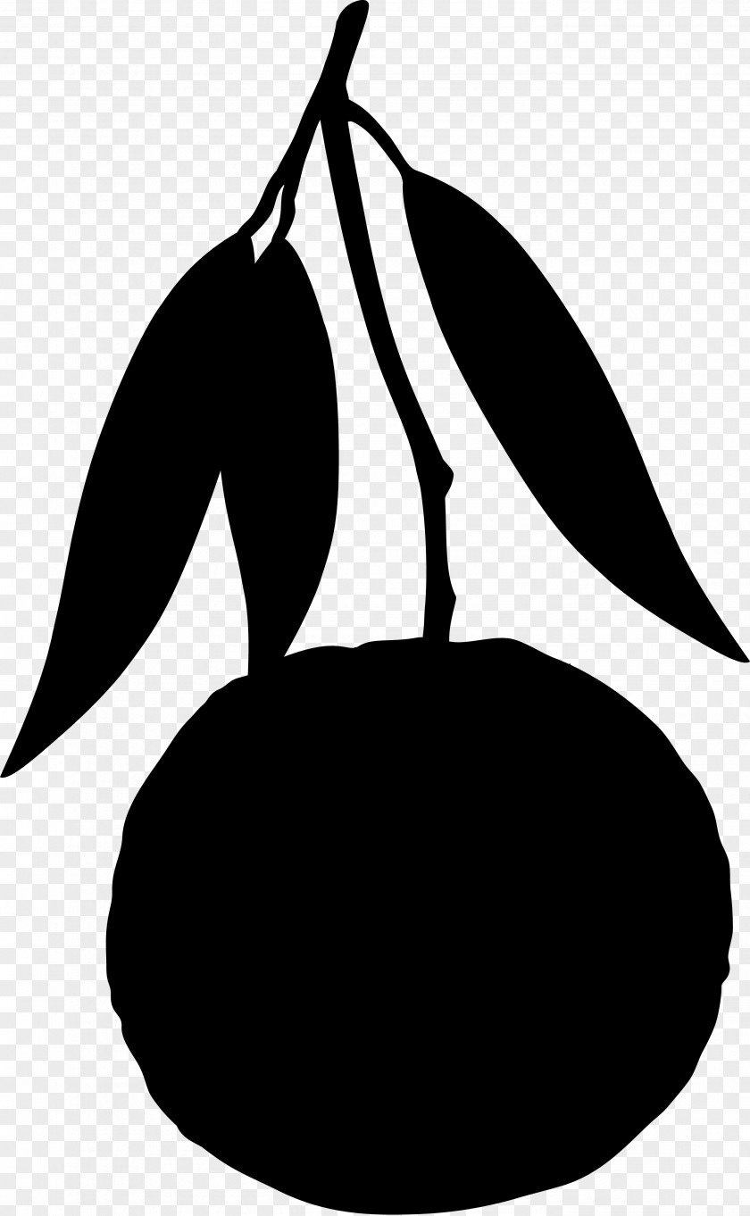 Clip Art Leaf Silhouette PNG