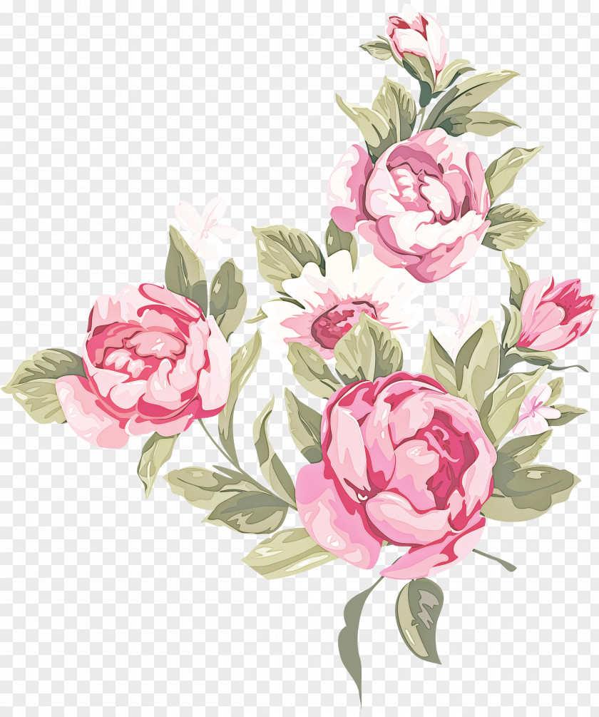 Common Peony Flowering Plant Garden Roses PNG