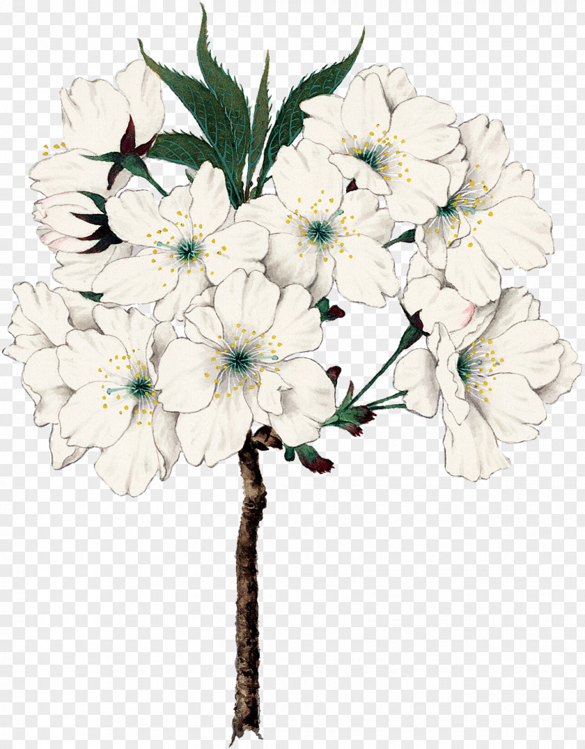 Flower Floral Design Cut Flowers Bouquet Artificial PNG