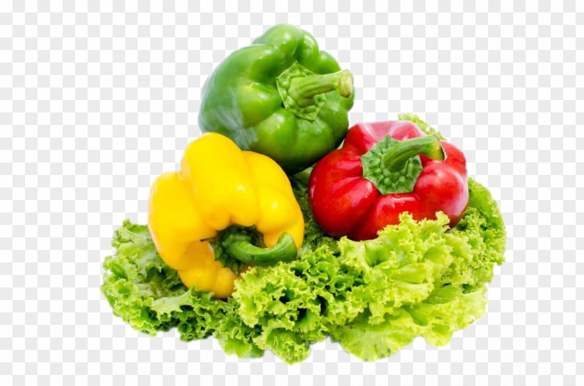 Pepper And Lettuce Bell Chili Vegetable Food PNG