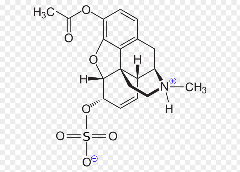 Sulfur Codeine Morphine Opioid Hydrocodone/acetaminophen PNG