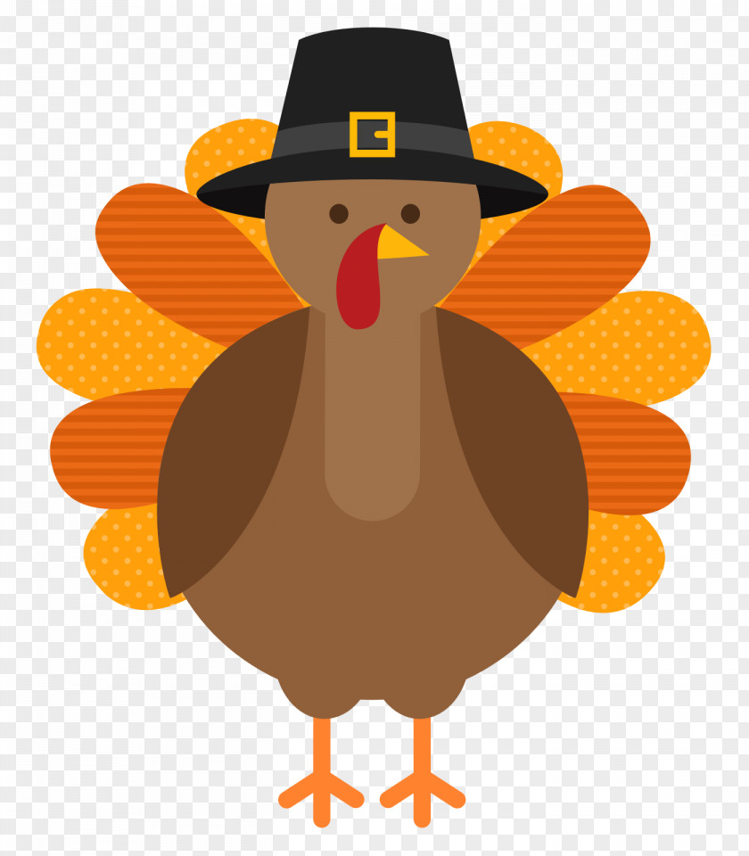 Thanksgiving Bird Holiday PNG