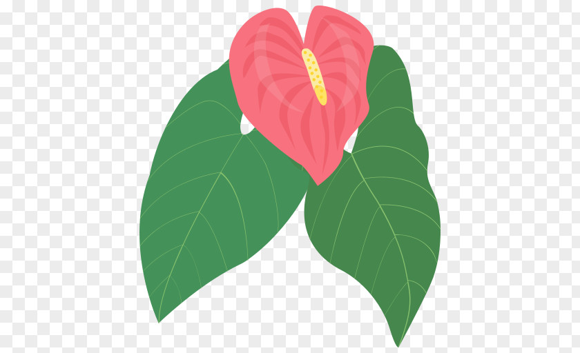 Anthuriums Icon Apple Image Format PNG