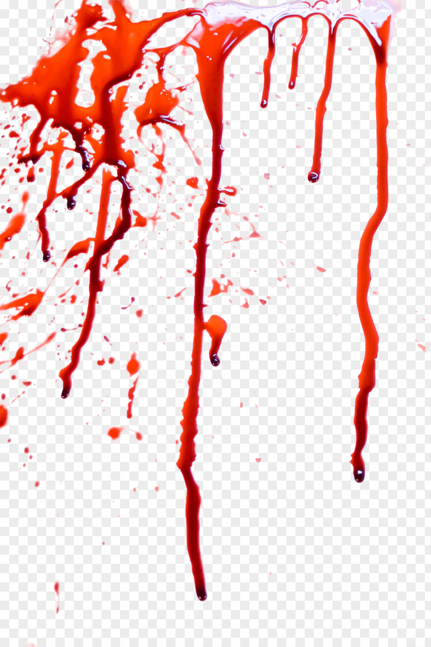Blood Image PNG