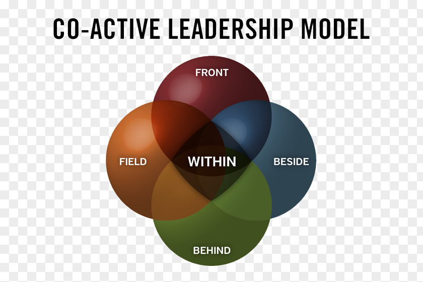 Co-Active Leadership: Five Ways To Lead Functional Leadership Model Multi-dimensional Of Global PNG