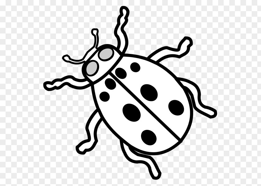 Insect Ladybird Beetle Sign Drawing Symbol PNG