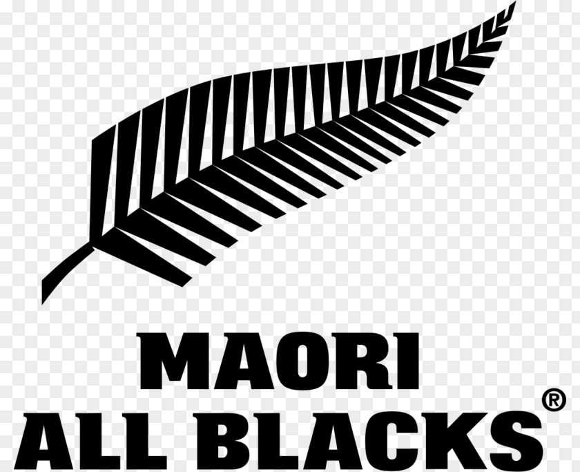 MAORI New Zealand National Rugby Union Team Māori All Blacks Wellington Regional Stadium 2017 British And Irish Lions Tour To Australia PNG