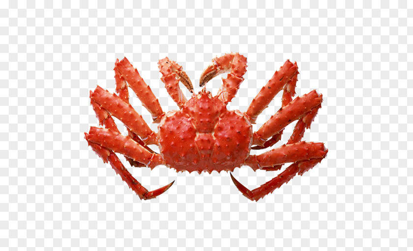 Red King Crab Seafood PNG king crab Seafood, clipart PNG
