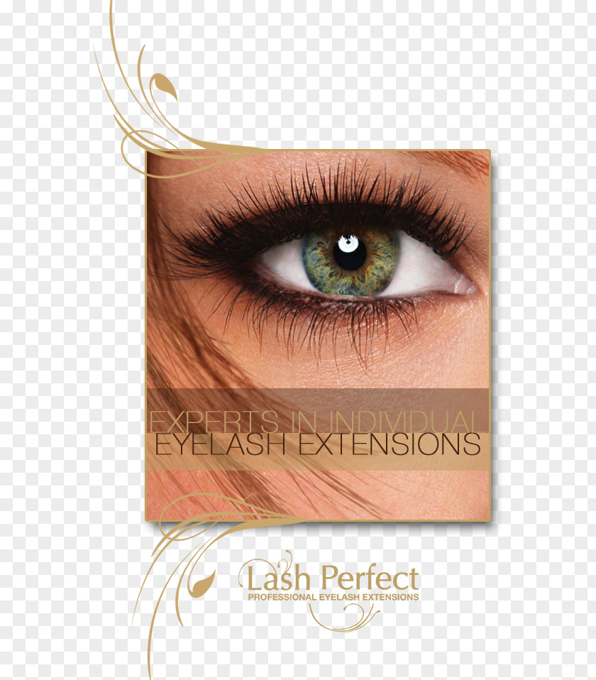 Eyelash Extensions Beauty Parlour Artificial Hair Integrations PNG