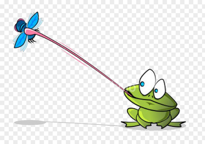 Frog Catch The Worm Poison Dart Amphibian Cartoon Clip Art PNG