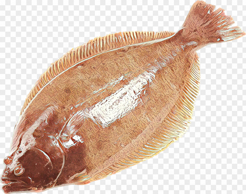 Seafood Saltcured Meat Flatfish Sole Fish Flounder PNG