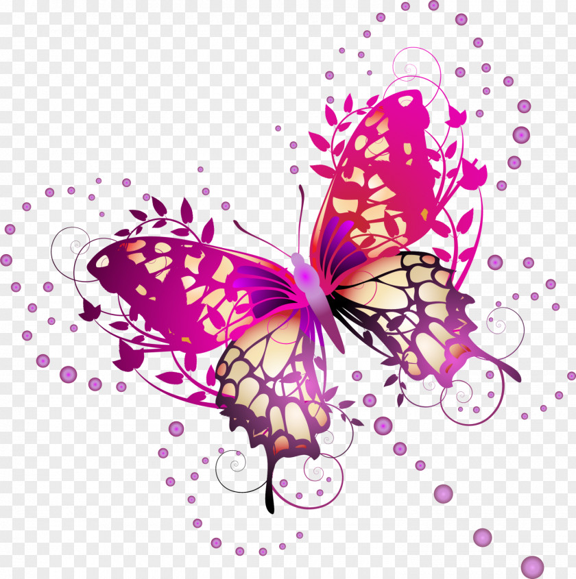 Butterfly With Purple Lines Photography Illustration PNG