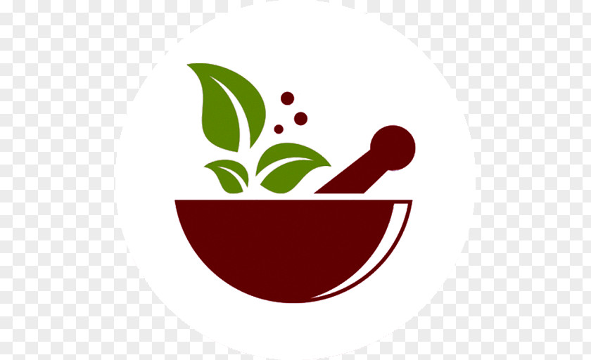 Mortar & Pesto Natural Pharmacy Medicine Logo Pharmaceutical Drug PNG