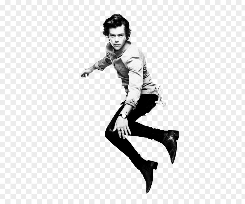 People Jump Harry Styles One Direction Where We Are Tour Photo Shoot Take Me Home PNG
