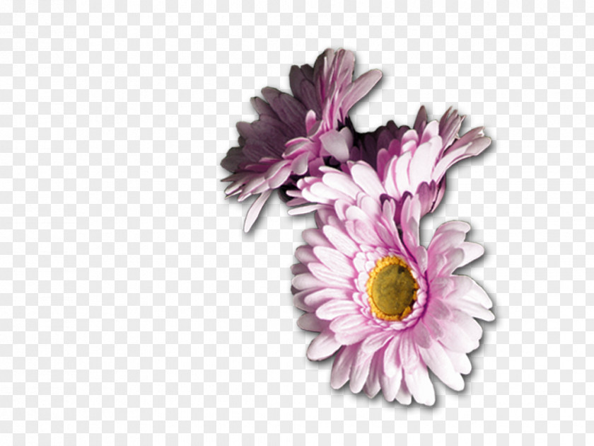 Receive Flowers Flower Blogger Floral Design PNG